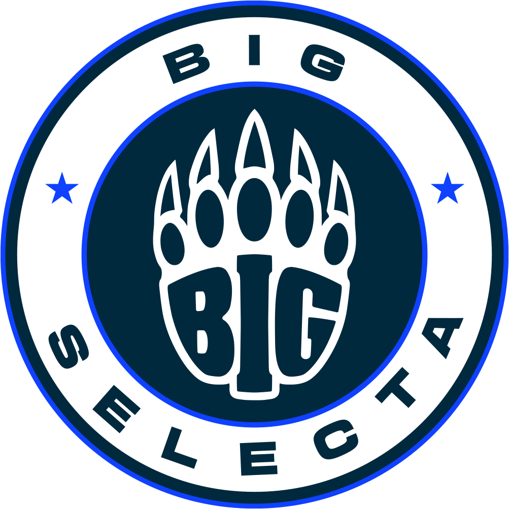 BIG Selecta Logo