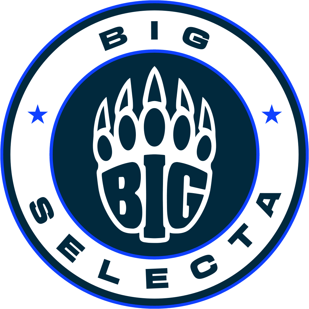 BIG Selecta Logo